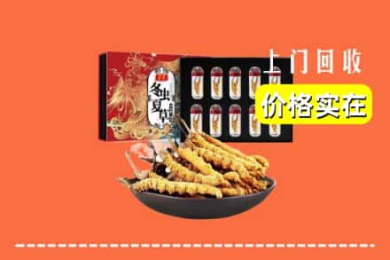 运城绛县回收冬虫夏草